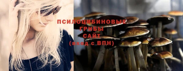 тгк Алексеевка