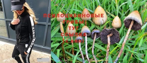 ГАЛЛЮЦИНОГЕННЫЕ ГРИБЫ Абинск
