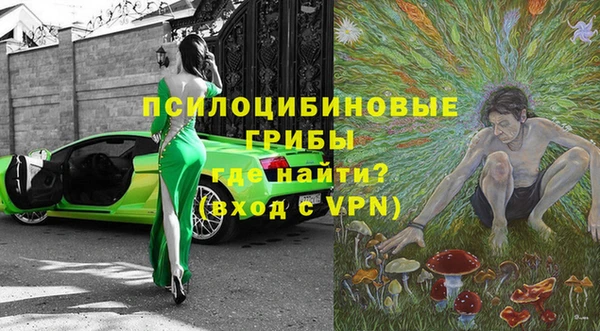 соль ск Абаза