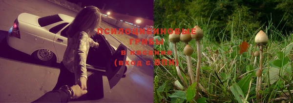 тгк Алексеевка